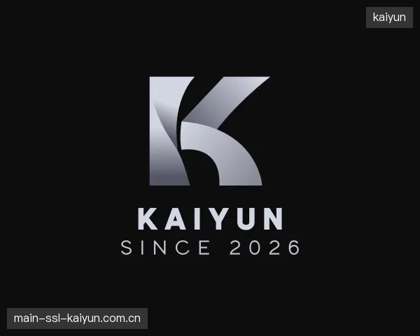 解读kaiyun团队